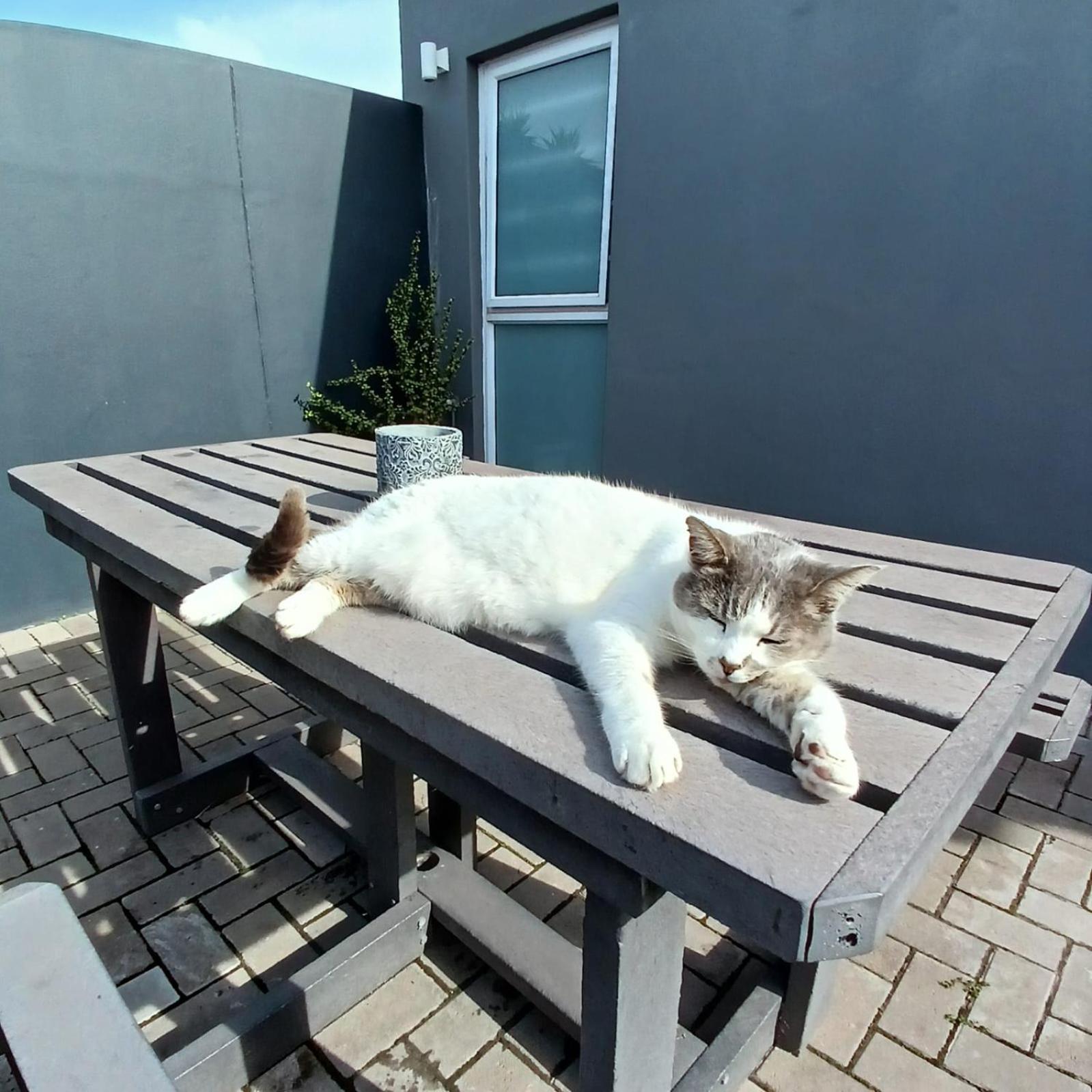 Wanderlust Private Studio Apartment Langebaan Exteriör bild